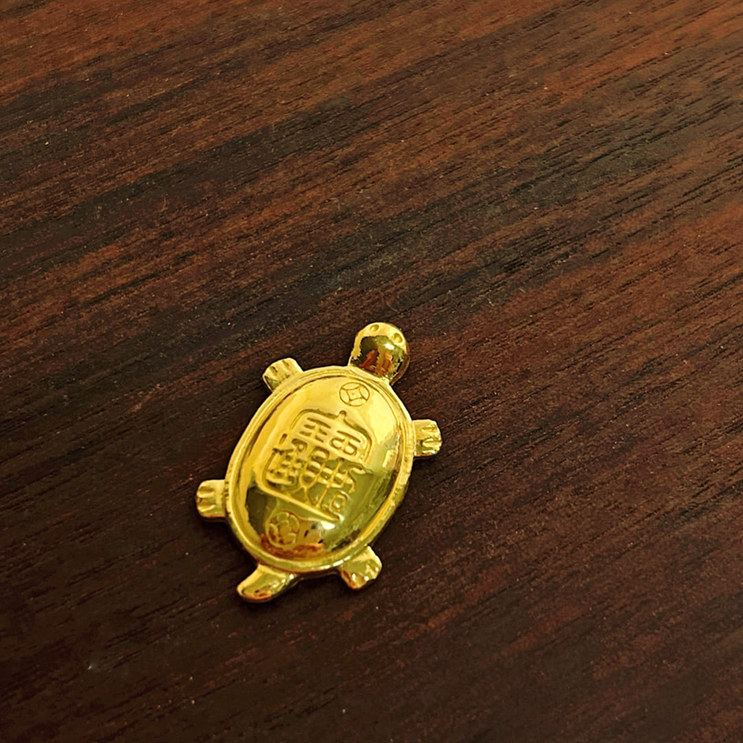 金錢龜純金實拍展示1
