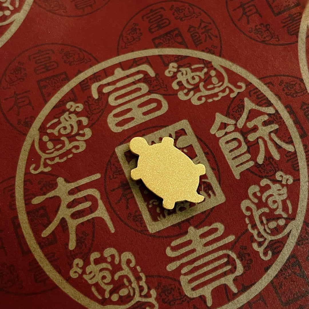 金錢龜純金實拍展示2